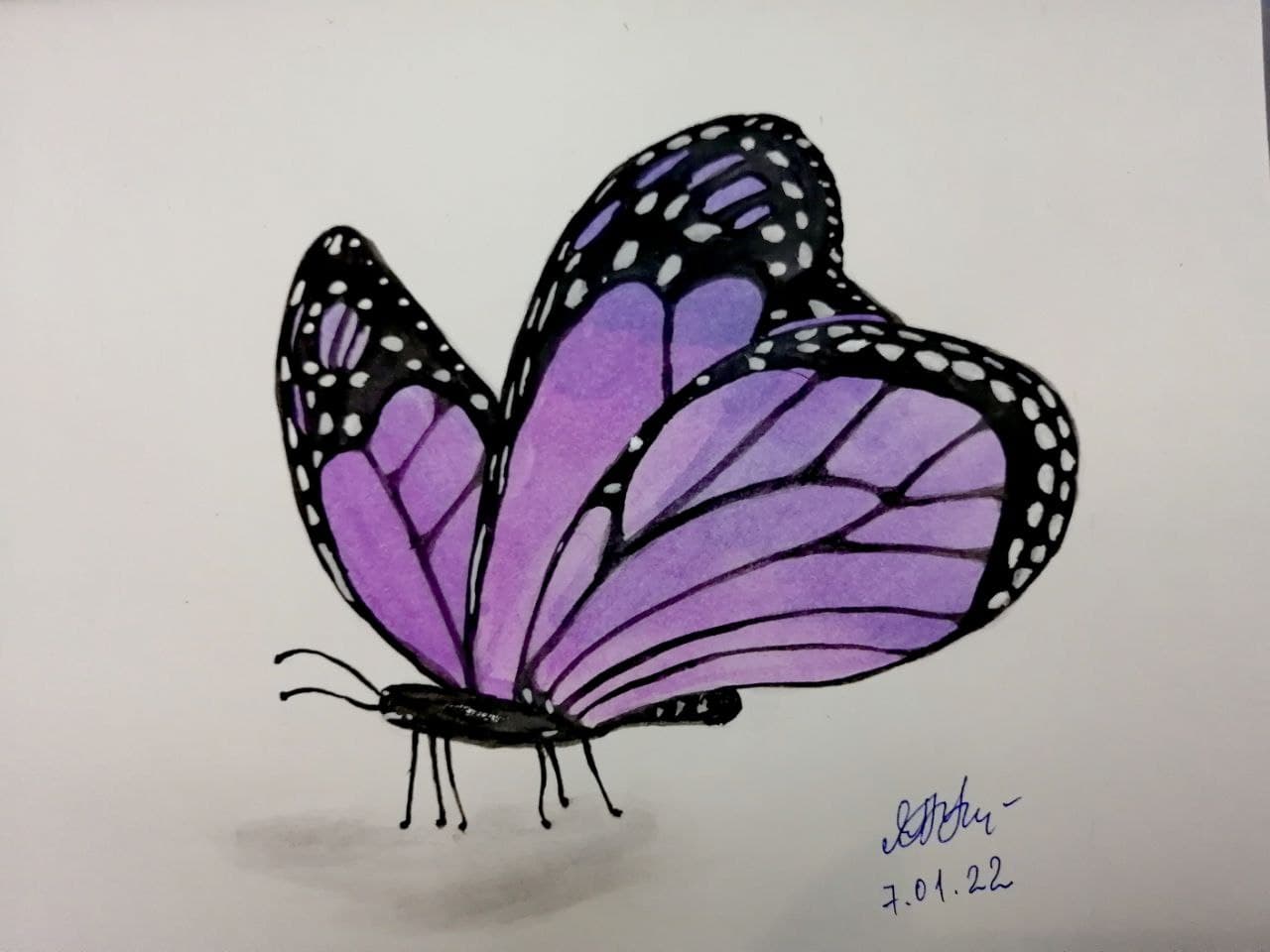 Бабочка, акварель. Мои первые шаги в рисовании